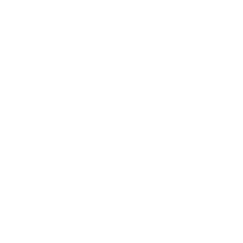 dzTV